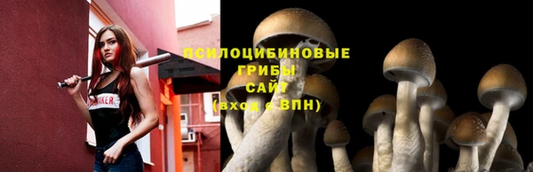 ешки Михайловск