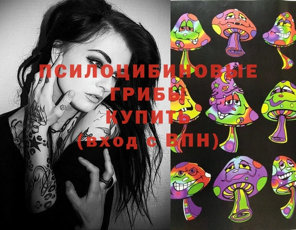 дживик Надым