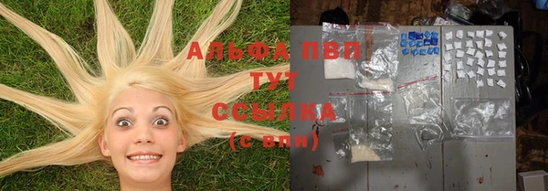 дживик Надым