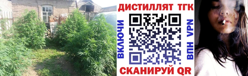 Дистиллят ТГК концентрат цена Тосно