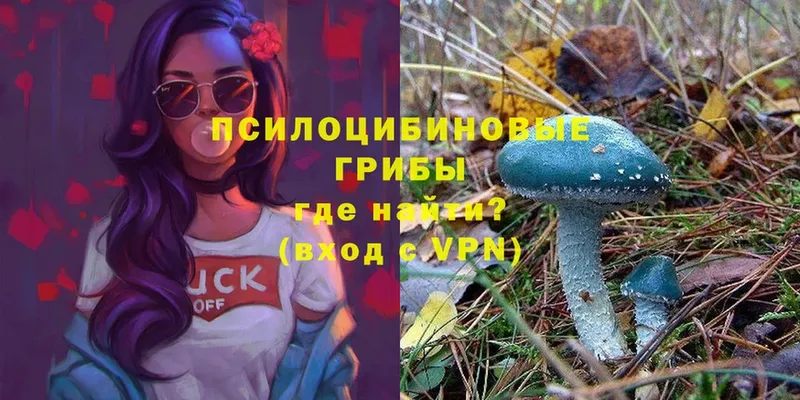 Галлюциногенные грибы Cubensis  Тосно 