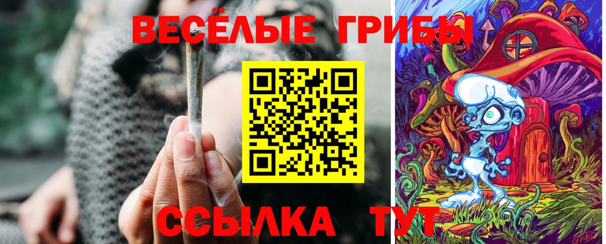 Псилоцибиновые грибы MAGIC MUSHROOMS Тосно